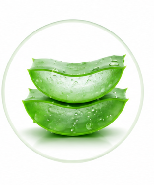 Aloe Vera Extract